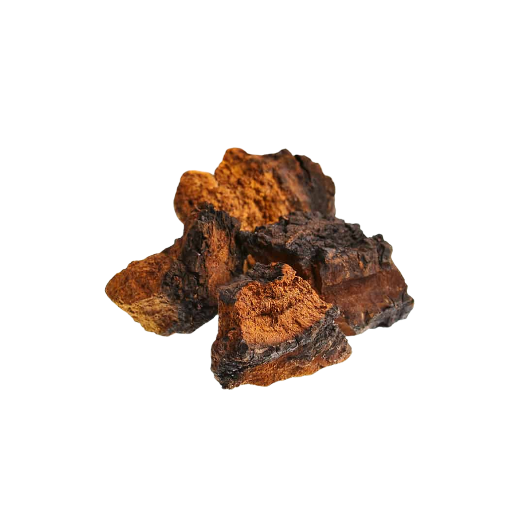 Chaga